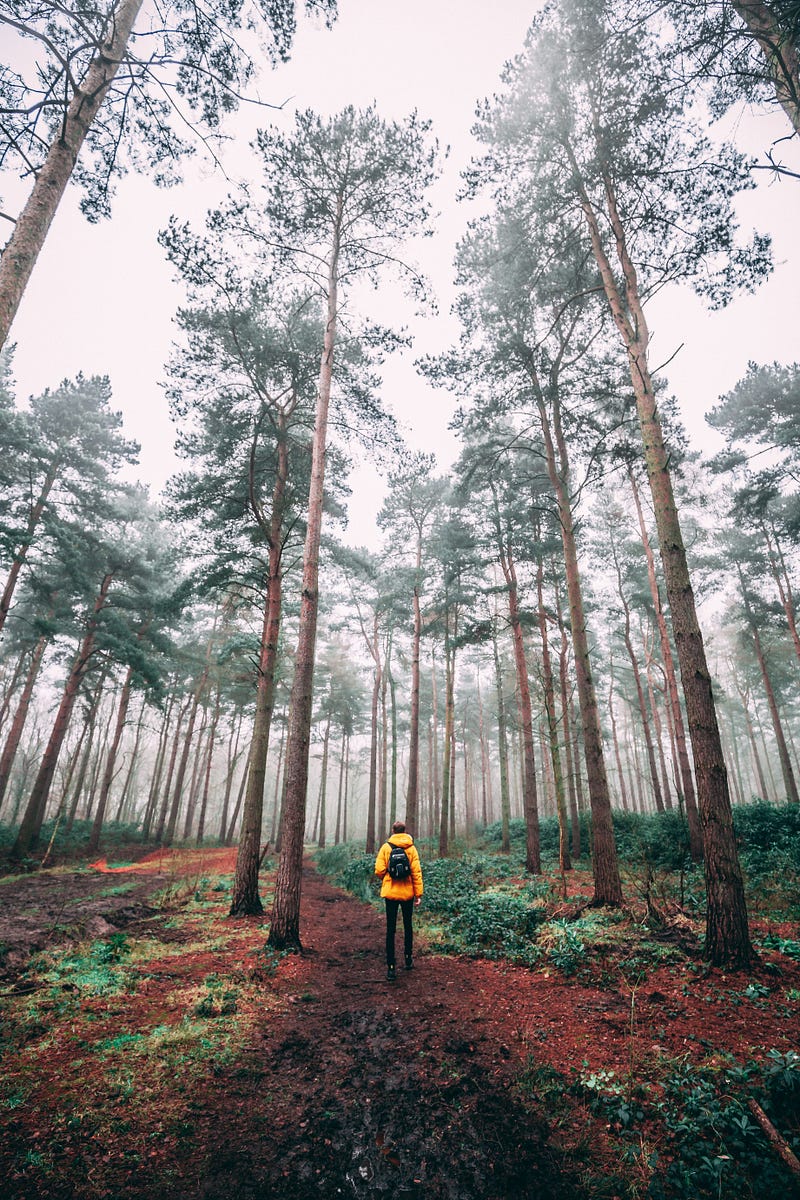 Mindfulness in Nature