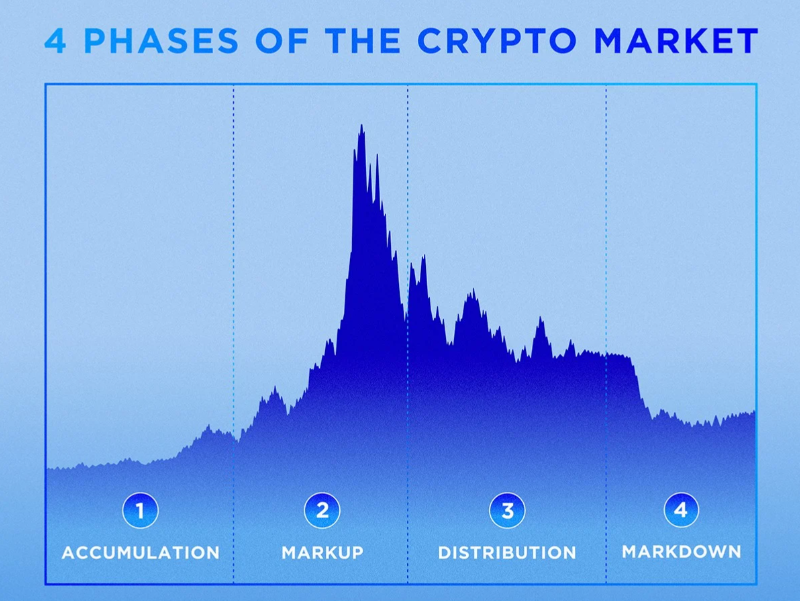 Cryptocurrency Market Analysis