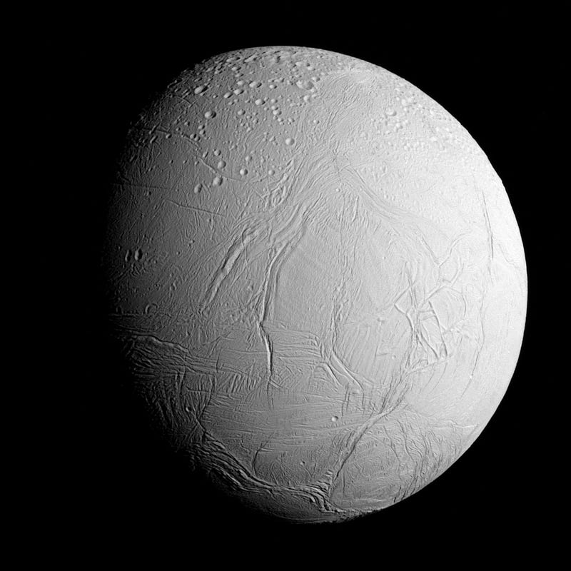 Enceladus and the search for microbial life