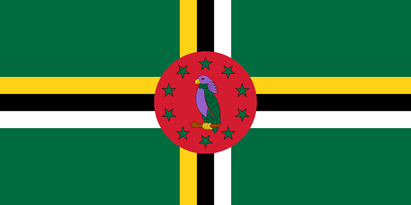 Dominica flag featuring a purple parrot