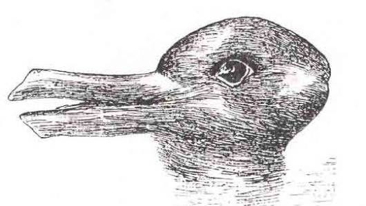 Duck or Rabbit Illusion