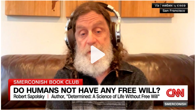 Neuroscientist discussing free will and determinism