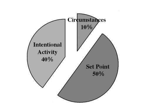 Happiness pie chart representation