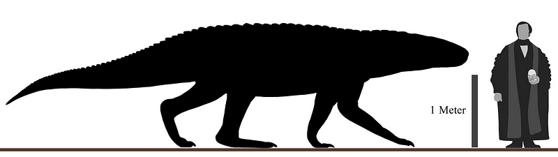 Size comparison chart of Barinasuchus.