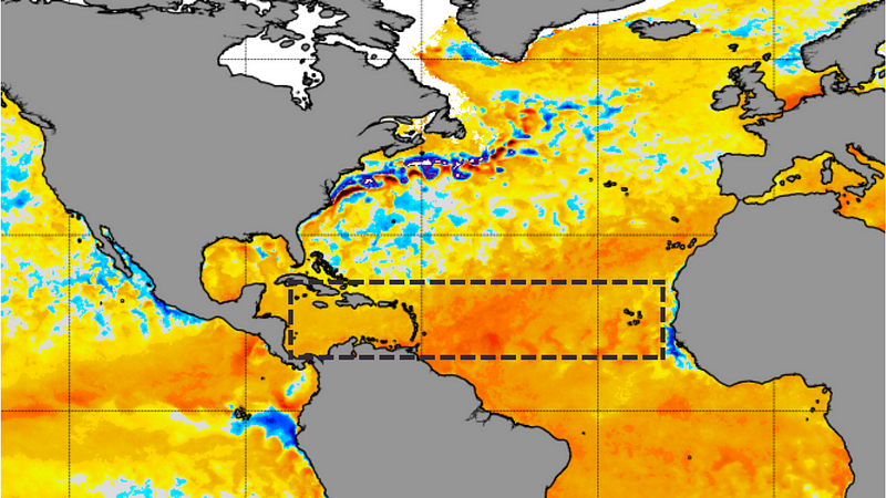 Sea surface temperature anomalies