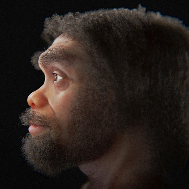 Reconstruction of Homo longi