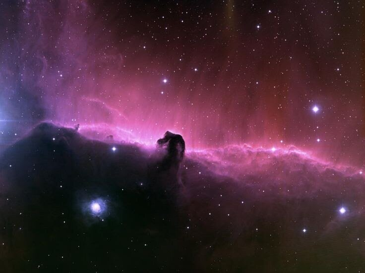 The iconic Horsehead Nebula