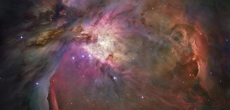 Stellar nursery in the Orion Nebula