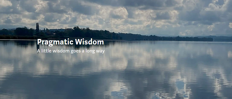 Insightful visual related to Pragmatic Wisdom