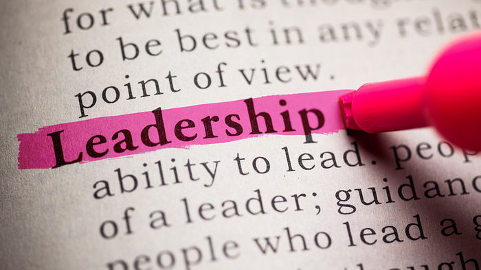 Leadership success traits preview image