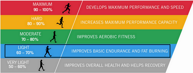 Importance of integrating Zone 2 cardio into daily life