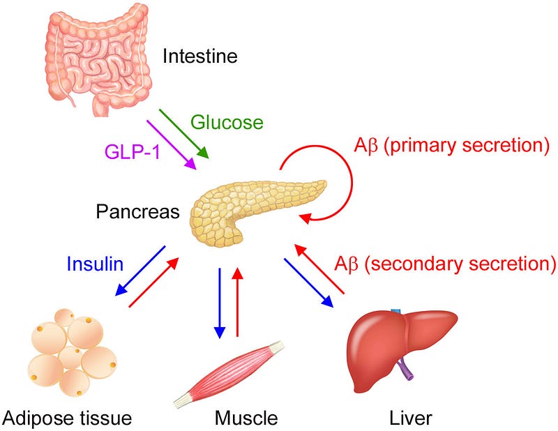 Insulin regulation and amyloid beta