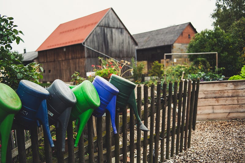 Home garden enhancing local living