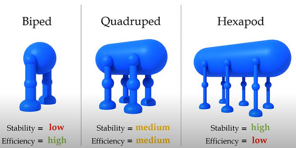 Insect adaptations in low-gravity environments