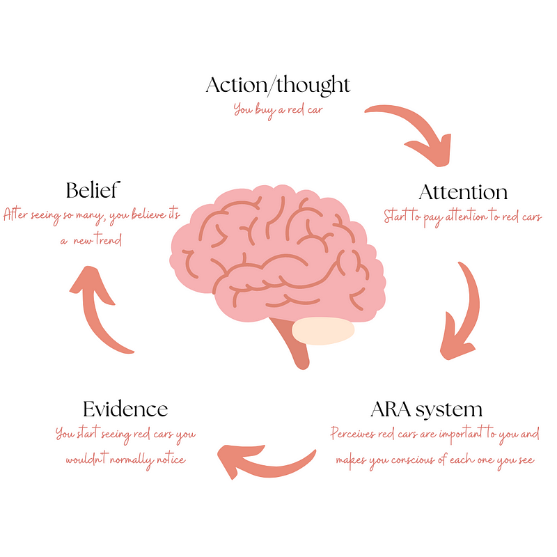 Understanding the ARA system and its impact on perception