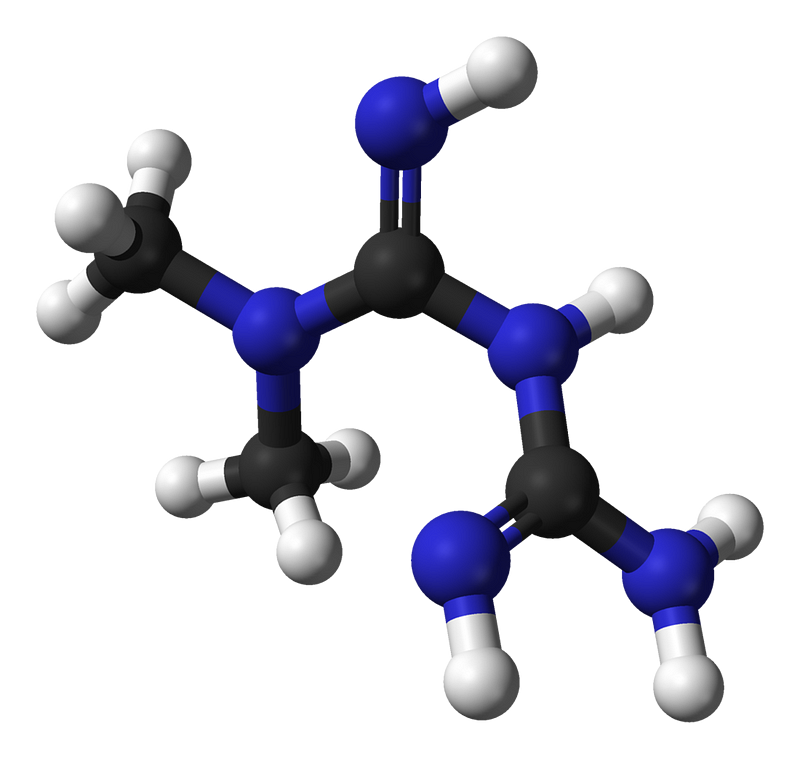 Molecular structure of metformin showing its components