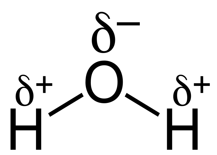 Polar nature of water molecules