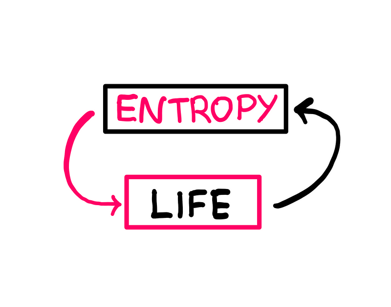 Conceptual representation of life and entropy