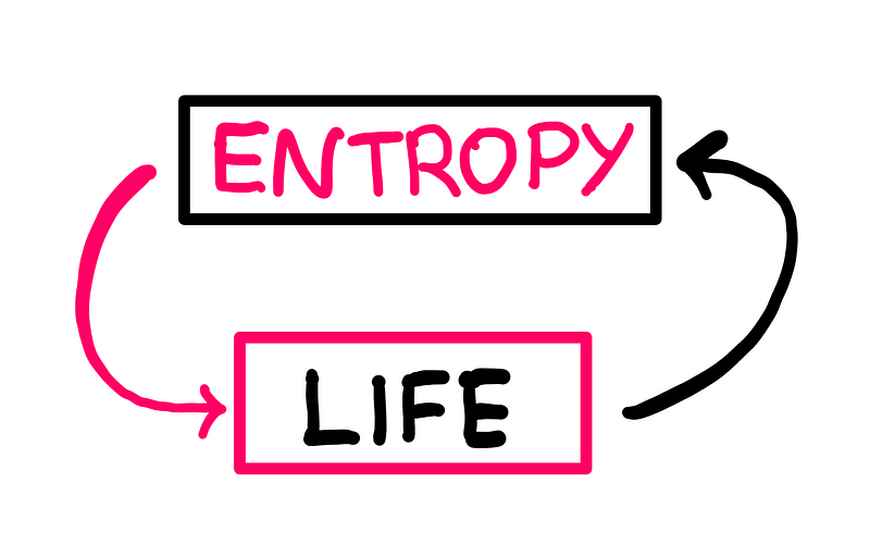 Another representation of the duality of life and entropy