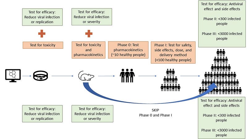 Antiviral Testing Process Overview