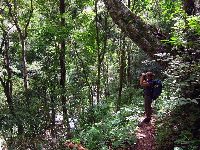 Ruth Bennett conducting field research in Honduras