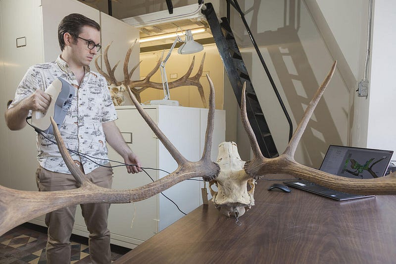 Paleontologist Zachary Calamari examining an elk skull.