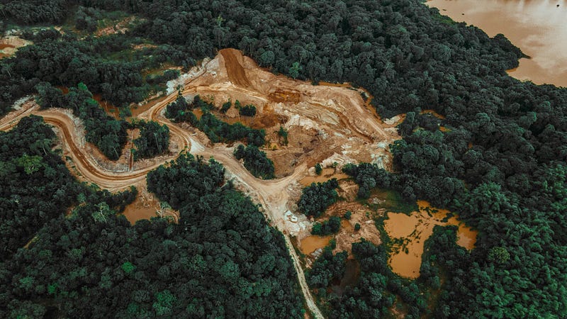 Image of deforestation impacts